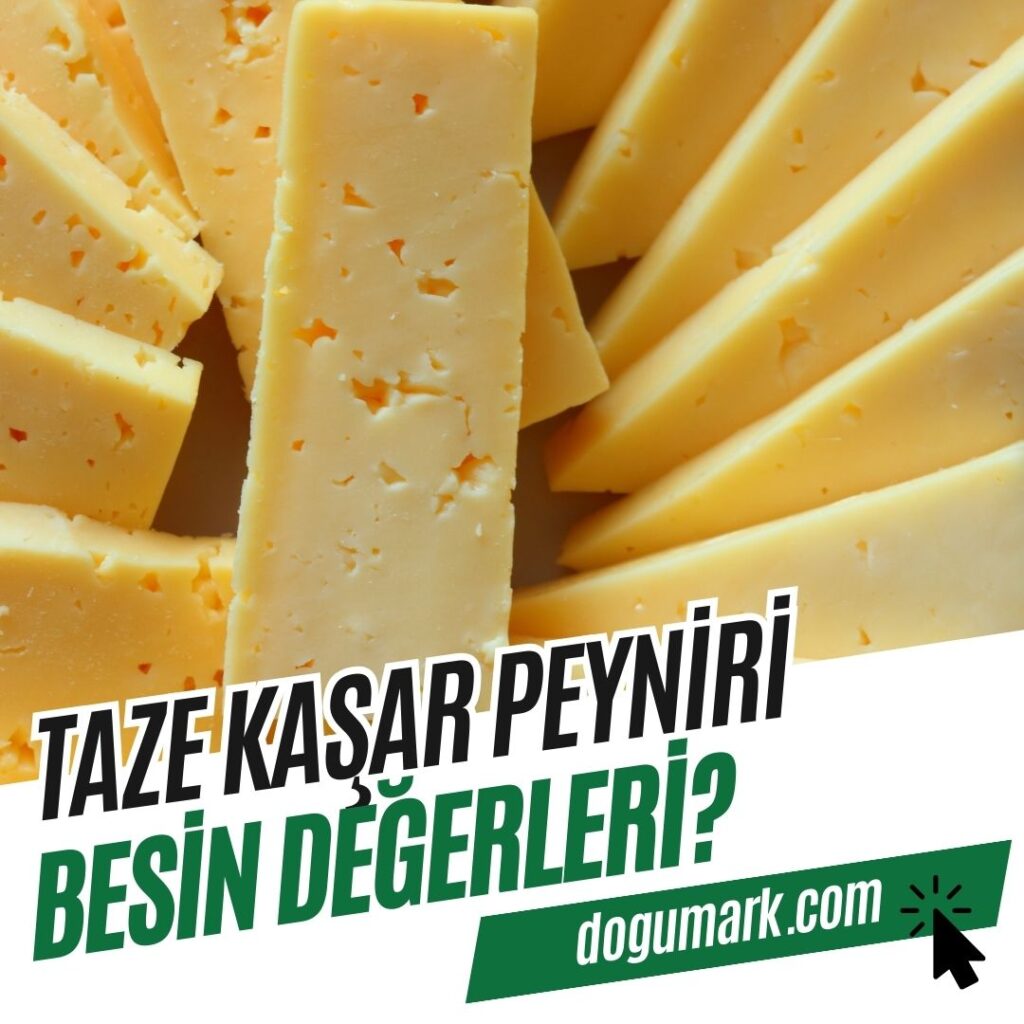Taze Kaşar Peyniri Besin Değerleri