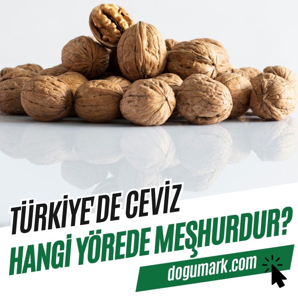 Türkiye'de Ceviz Hangi Yörede Meşhurdur