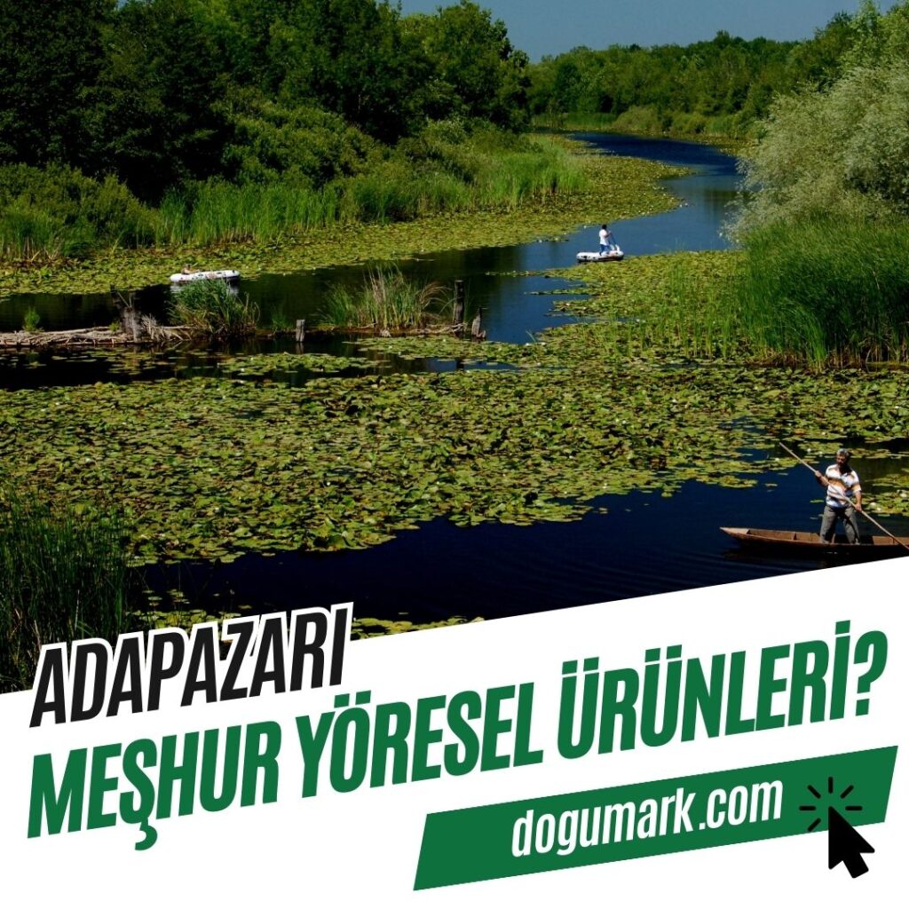 Adapazarı Meşhur Yöresel Ürünleri