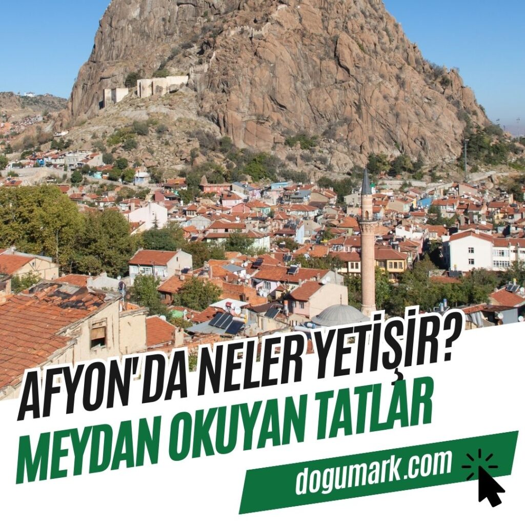 Afyon'da Neler Yetişir