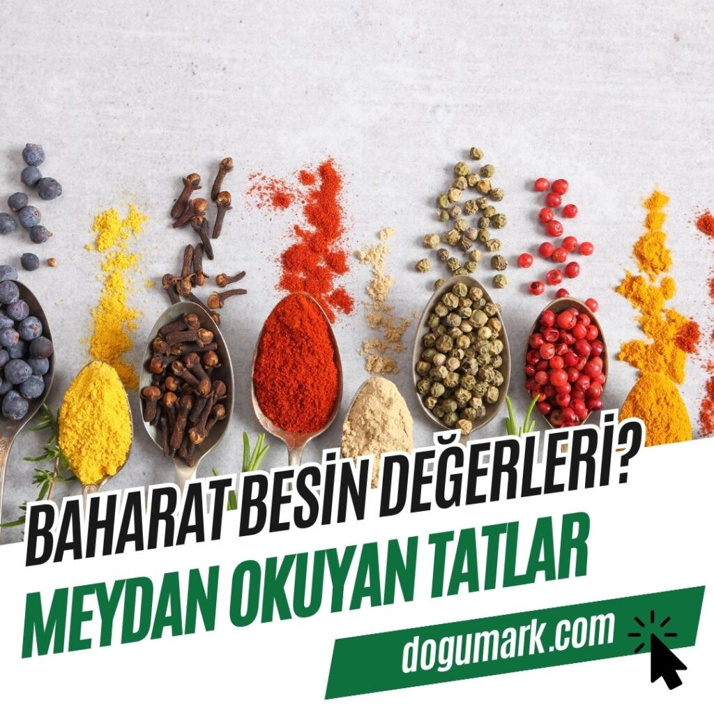 Baharat Besin Değerleri