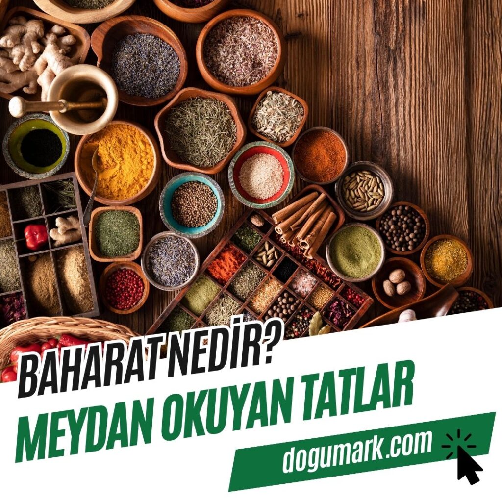 Baharat Nedir