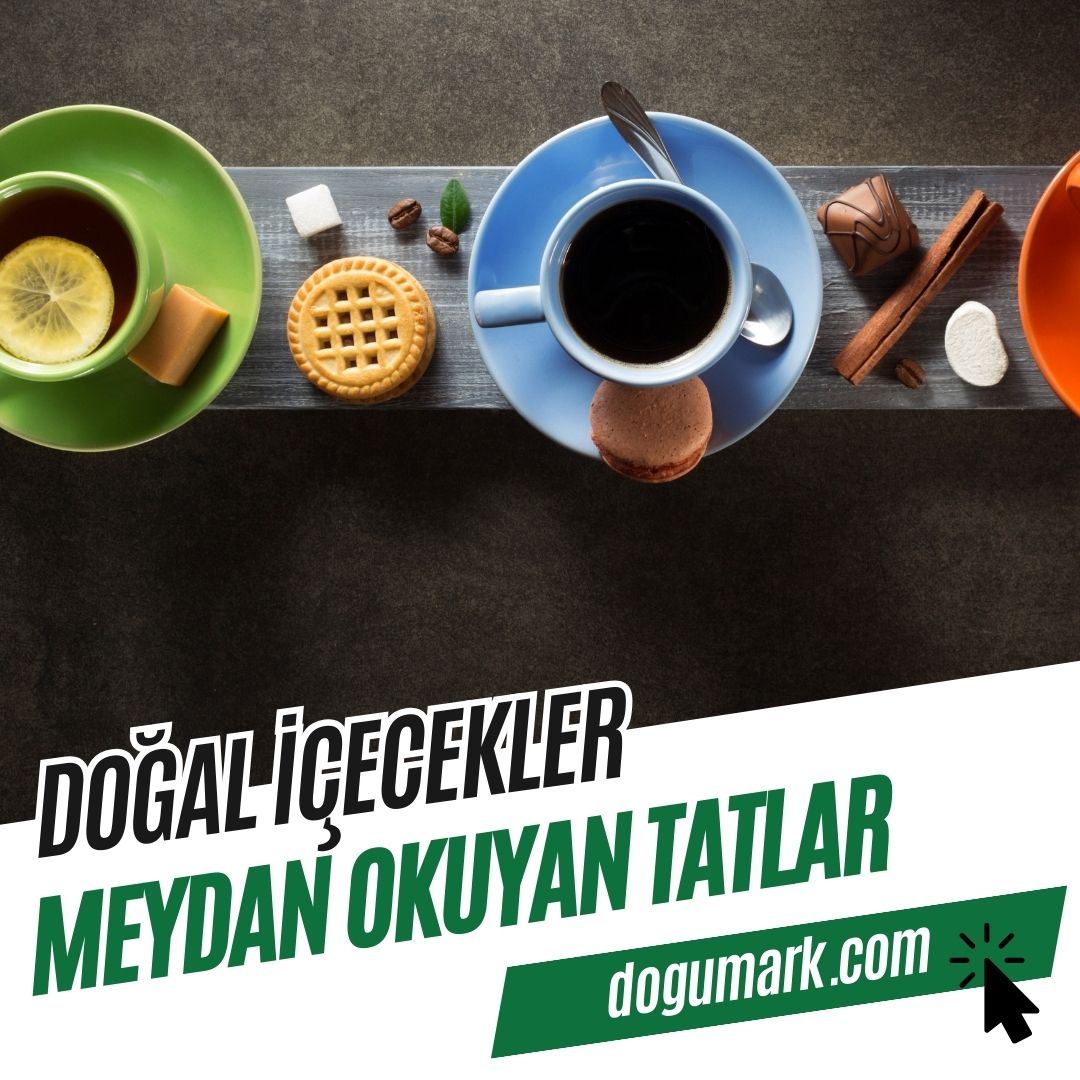 Doğal İçecekler