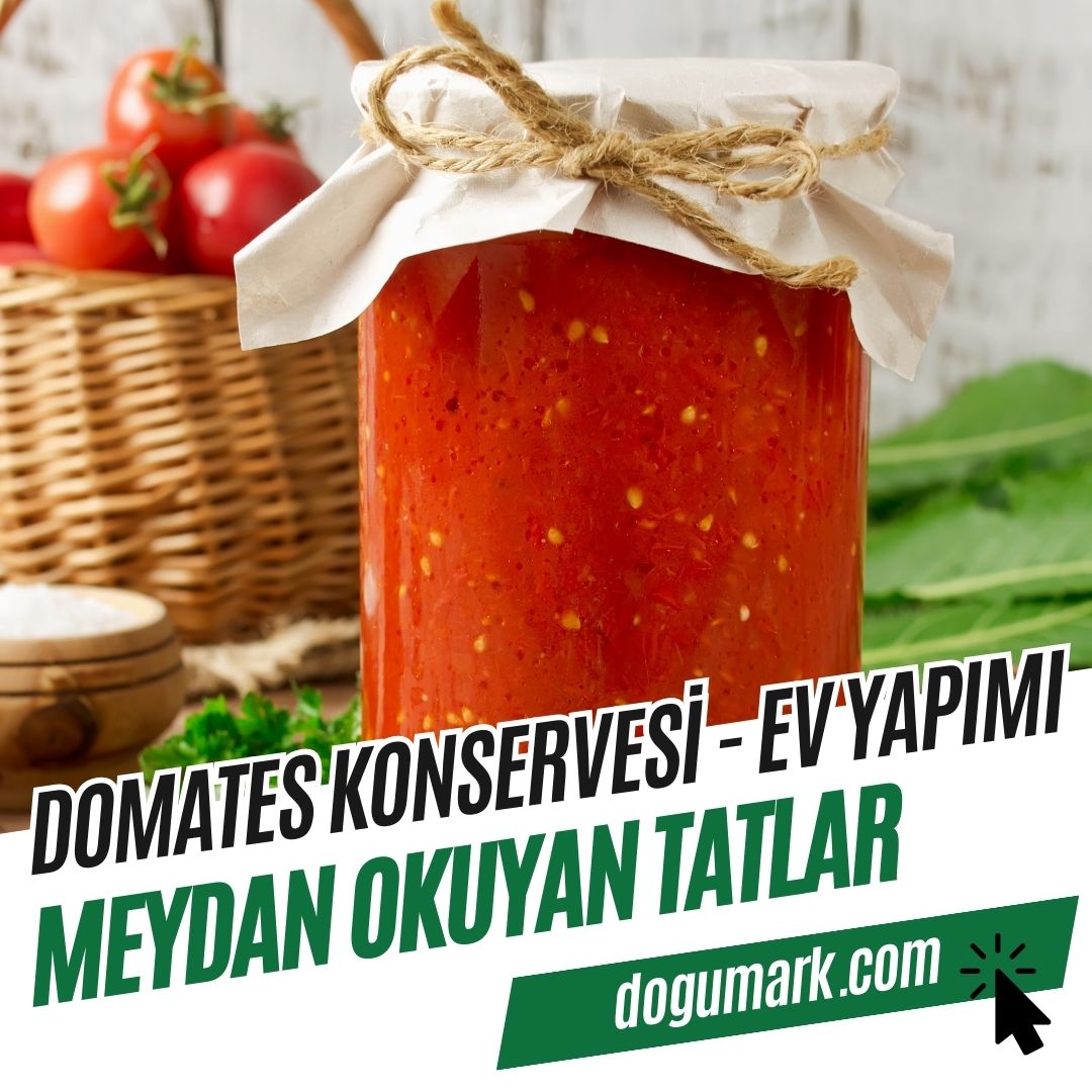 Domates Konservesi (500cc) - Ev Yapımı-2