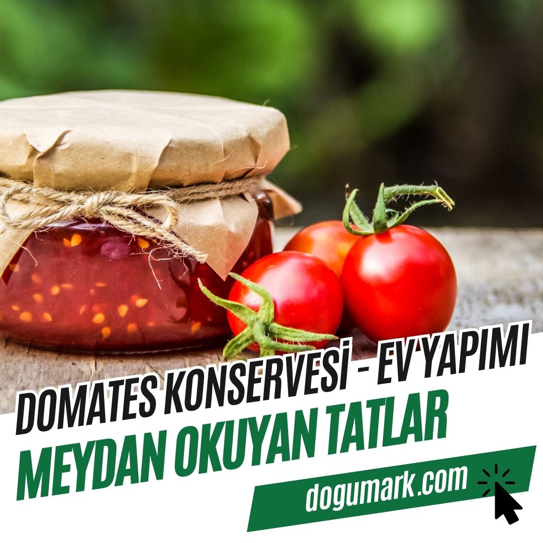 Domates Konservesi (500cc) - Ev Yapımı-4