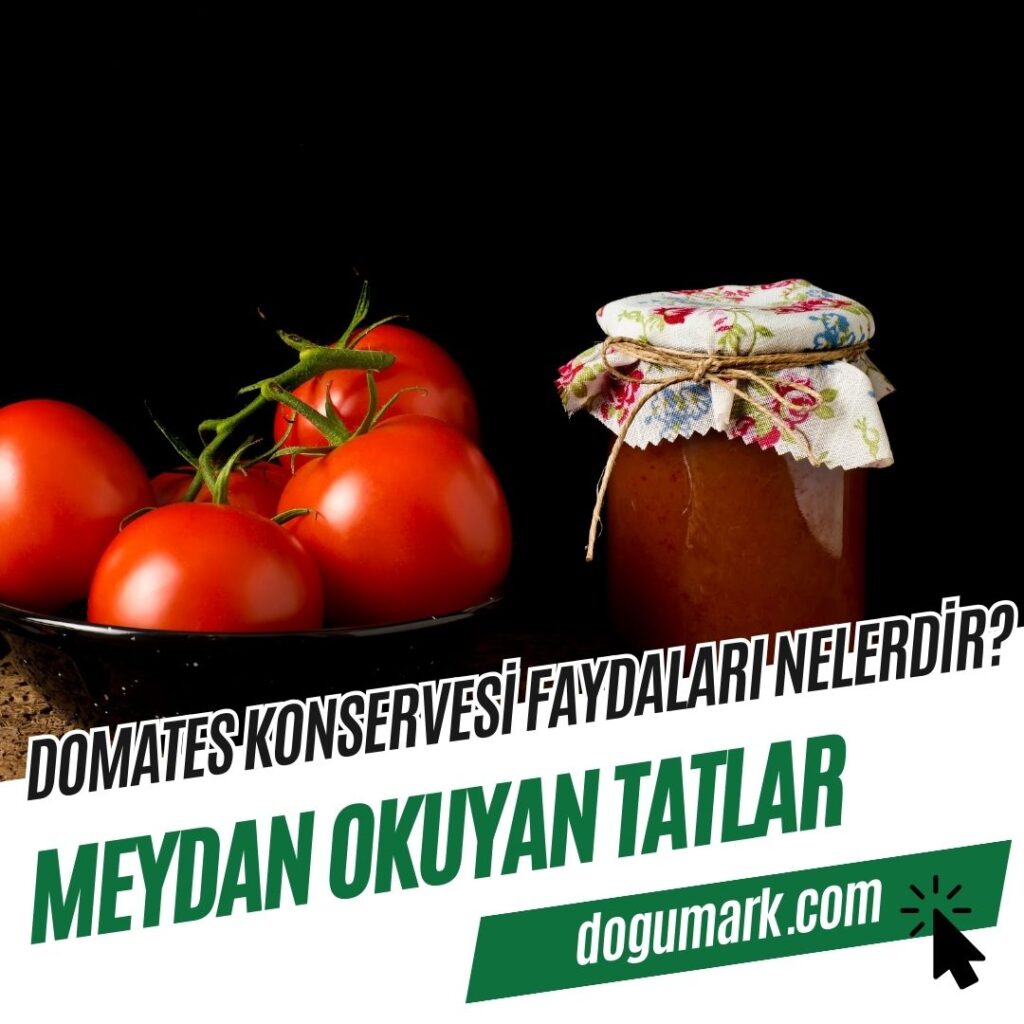 Domates Konservesi Faydaları Nelerdir