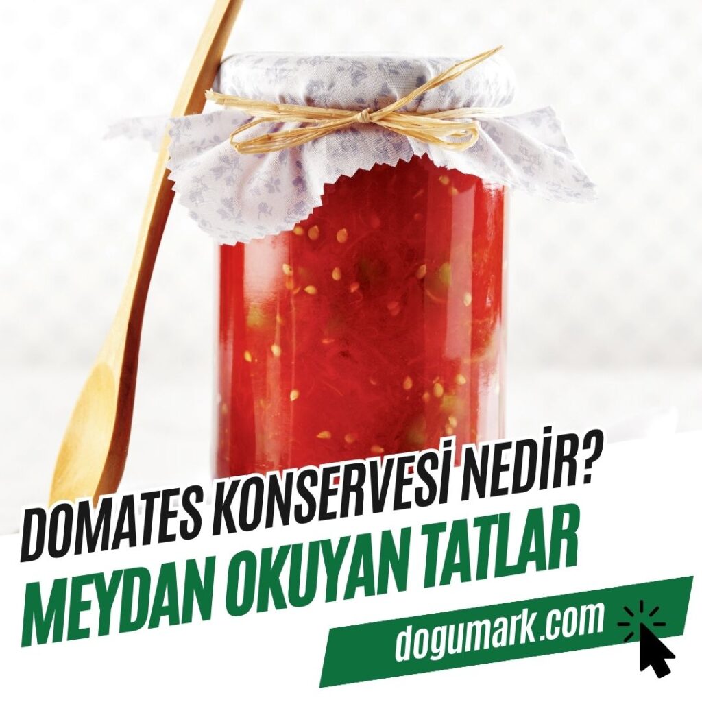 Domates Konservesi Nedir