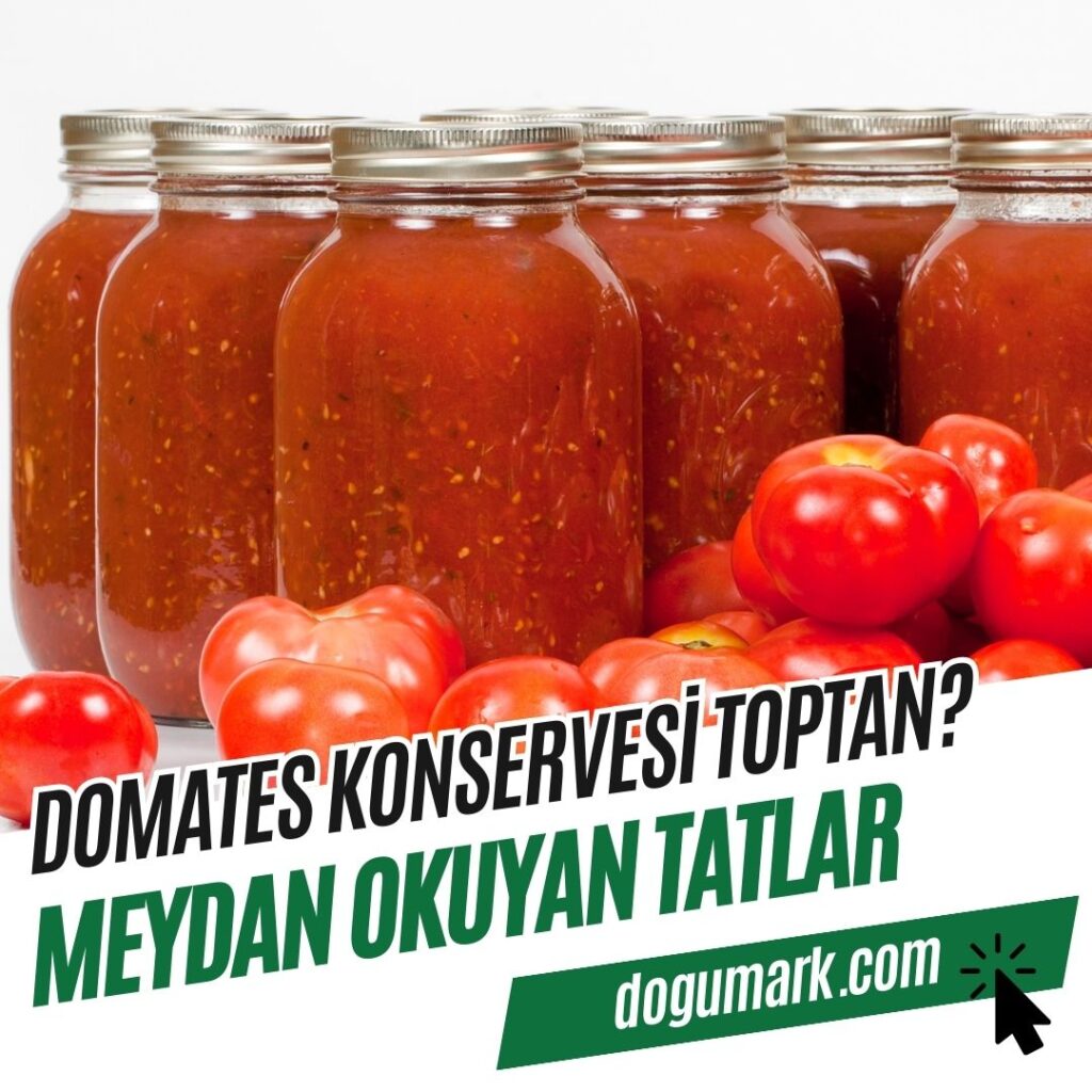 Domates Konservesi Toptan