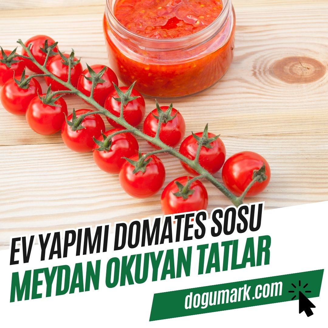 Ev Yapımı Domates Sosu