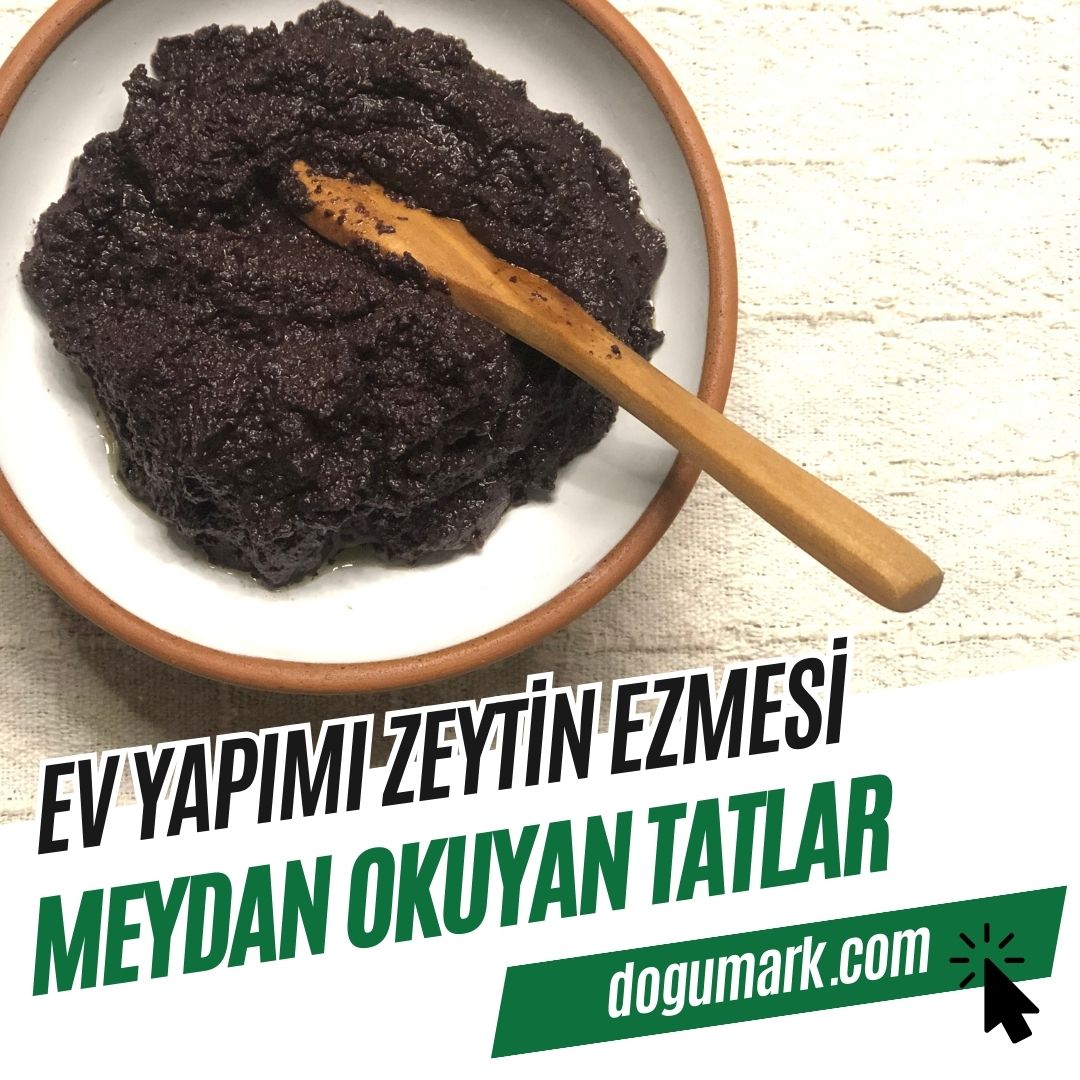 Ev Yapımı Zeytin Ezmesi