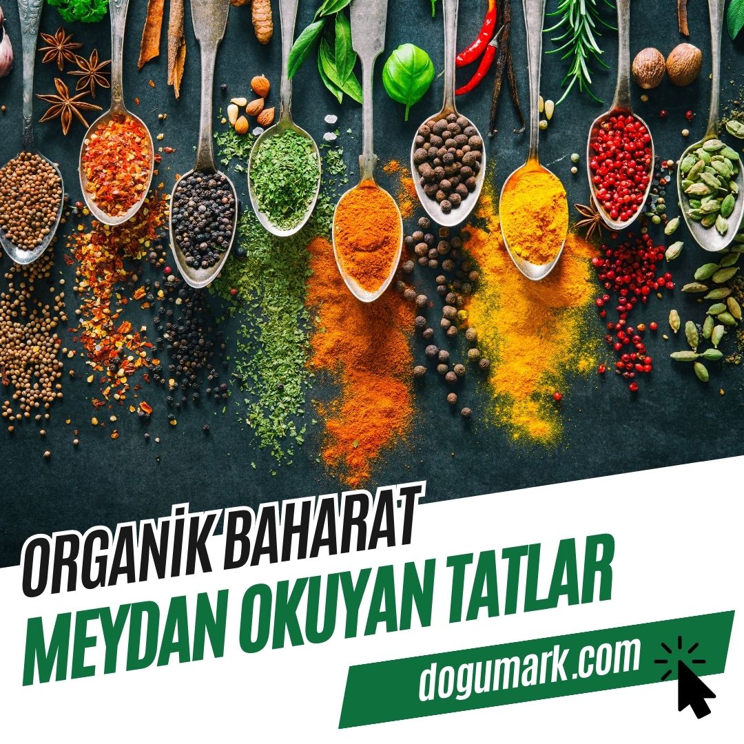 Organik Baharat