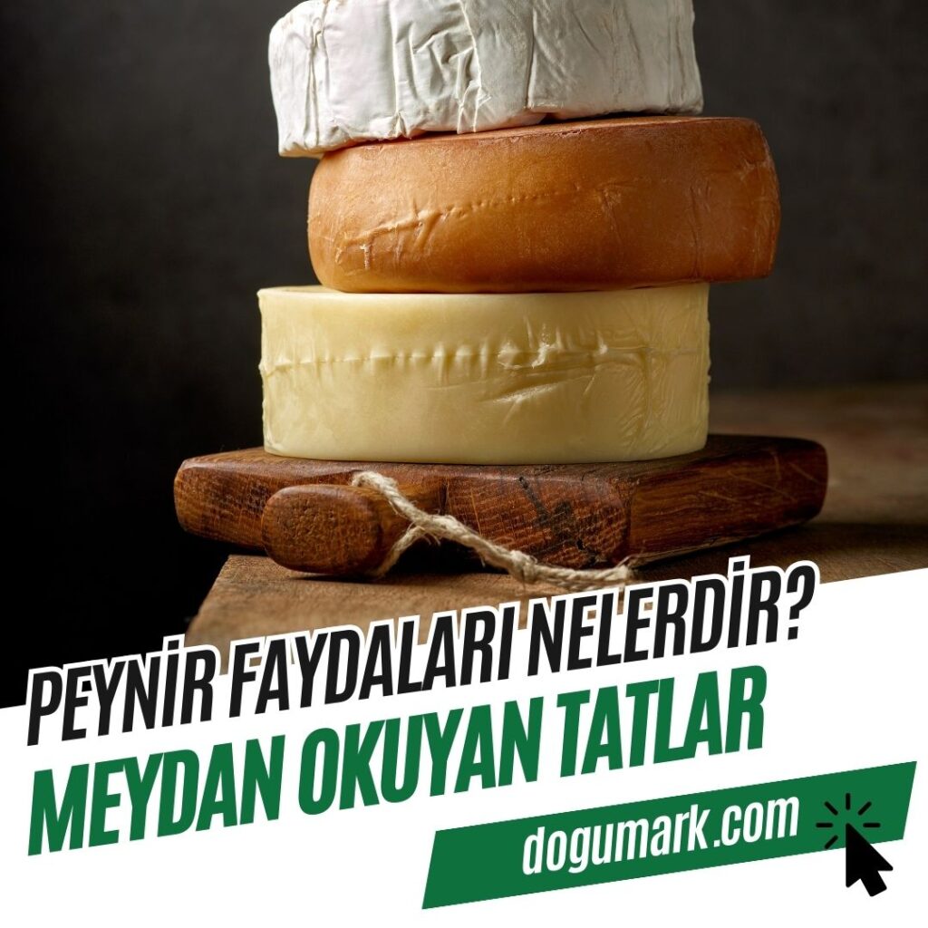 Peynir Faydaları Nelerdir