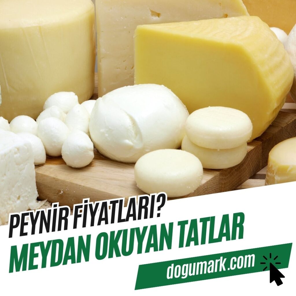 Peynir Fiyatları