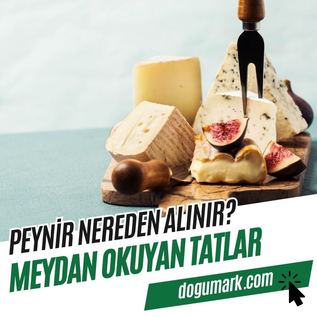 Peynir Nereden Alınır