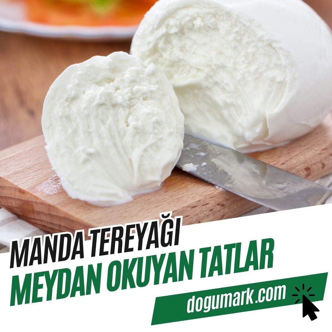 Manda Tereyağı (1 Kg) - Tuzsuz