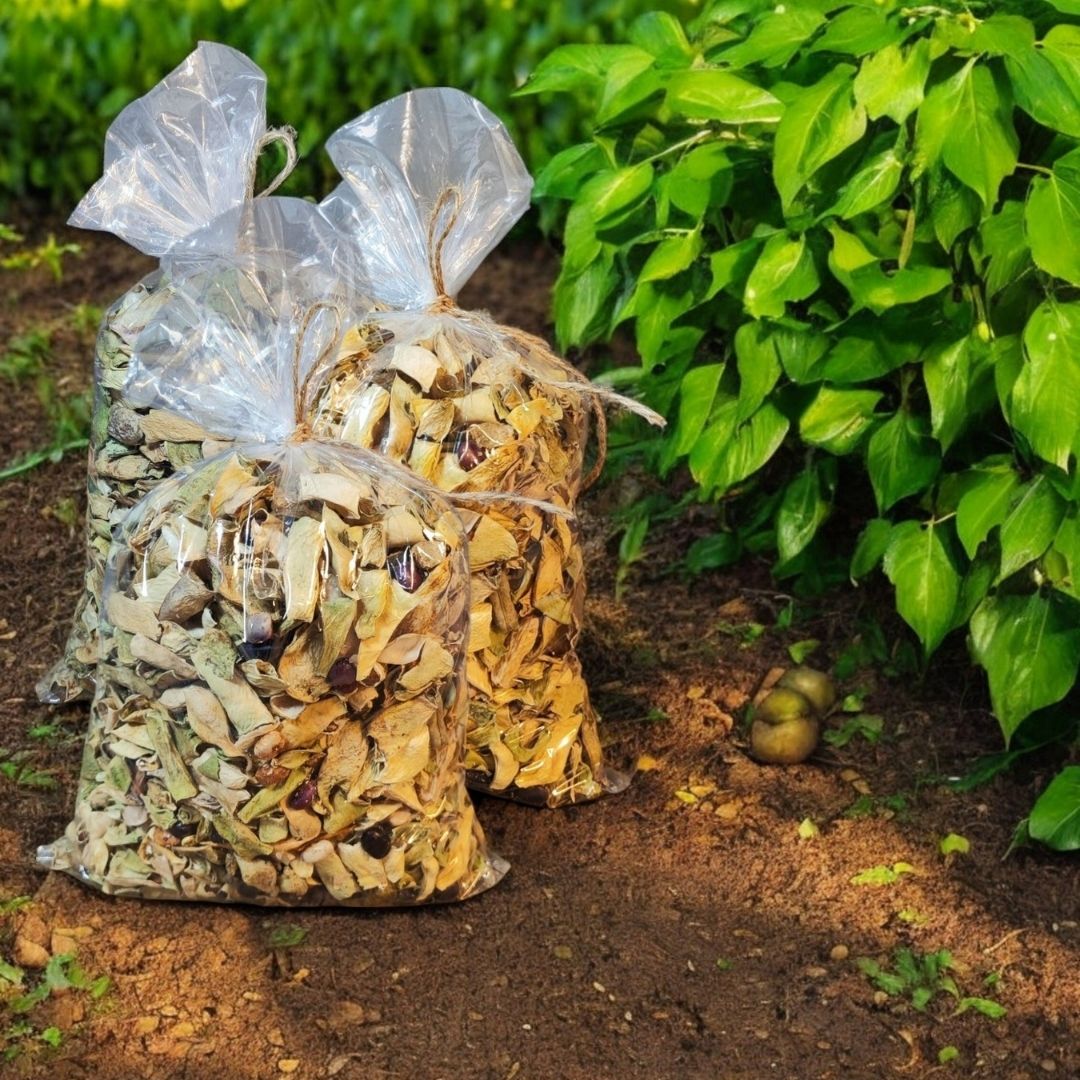 Doğal Kurutulmuş Taze Yeşil Fasulye - Kuru Sebze (3 Kg)