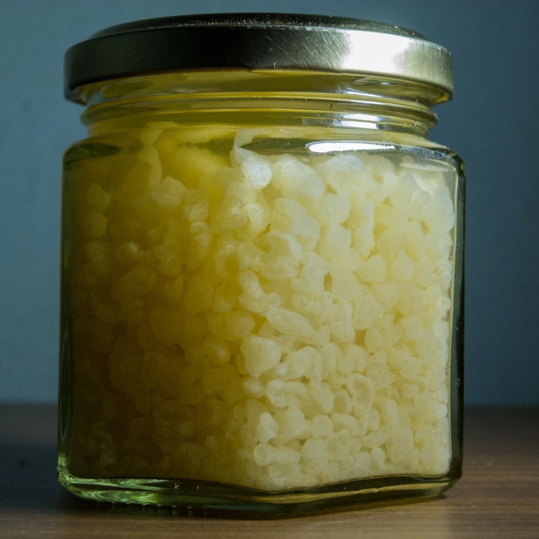 Kafkas Canlı Kefir Mayası - Ev Yapımı (7g)-1