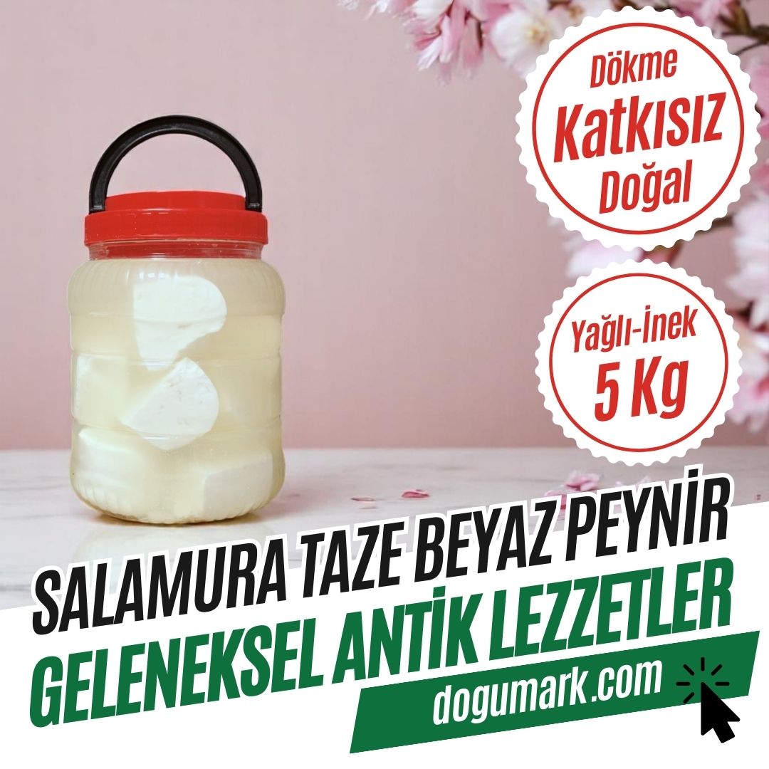 Dökme Köy Tipi Salamura Taze Beyaz Peynir - Yağlı - İnek (5 Kg)
