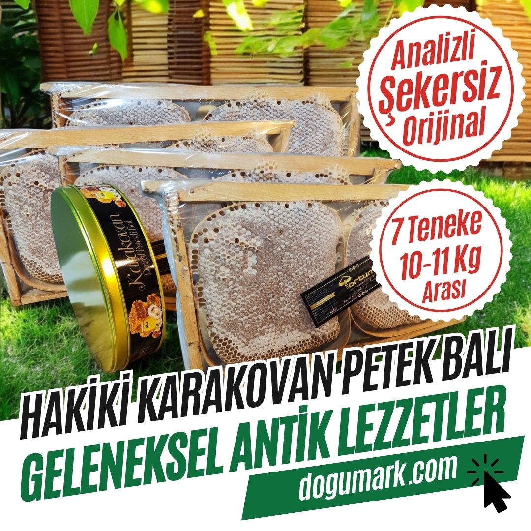 Analizli Şekersiz Hakiki Karakovan Petek Balı (10-11 Kg Arası)
