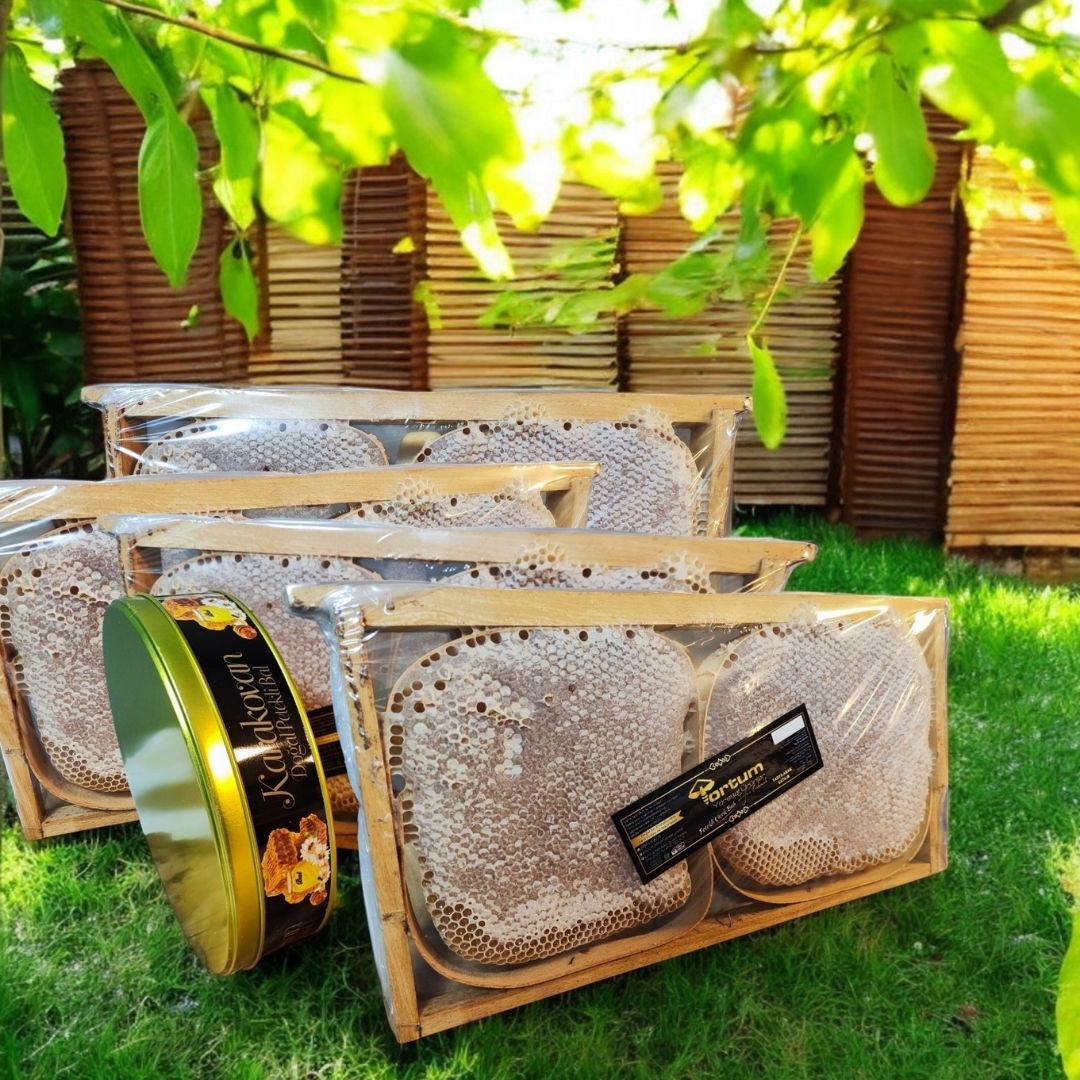 Analizli Şekersiz Hakiki Karakovan Petek Balı (10-11 Kg Arası)