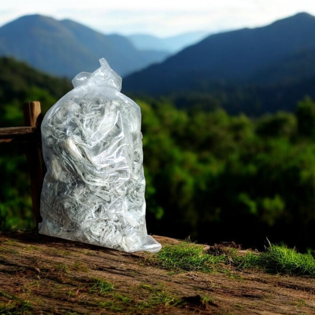 Katkısız Doğal Göğermiş Küflü Yeşil Peynir - Lorsuz (1 Kg) Dökme