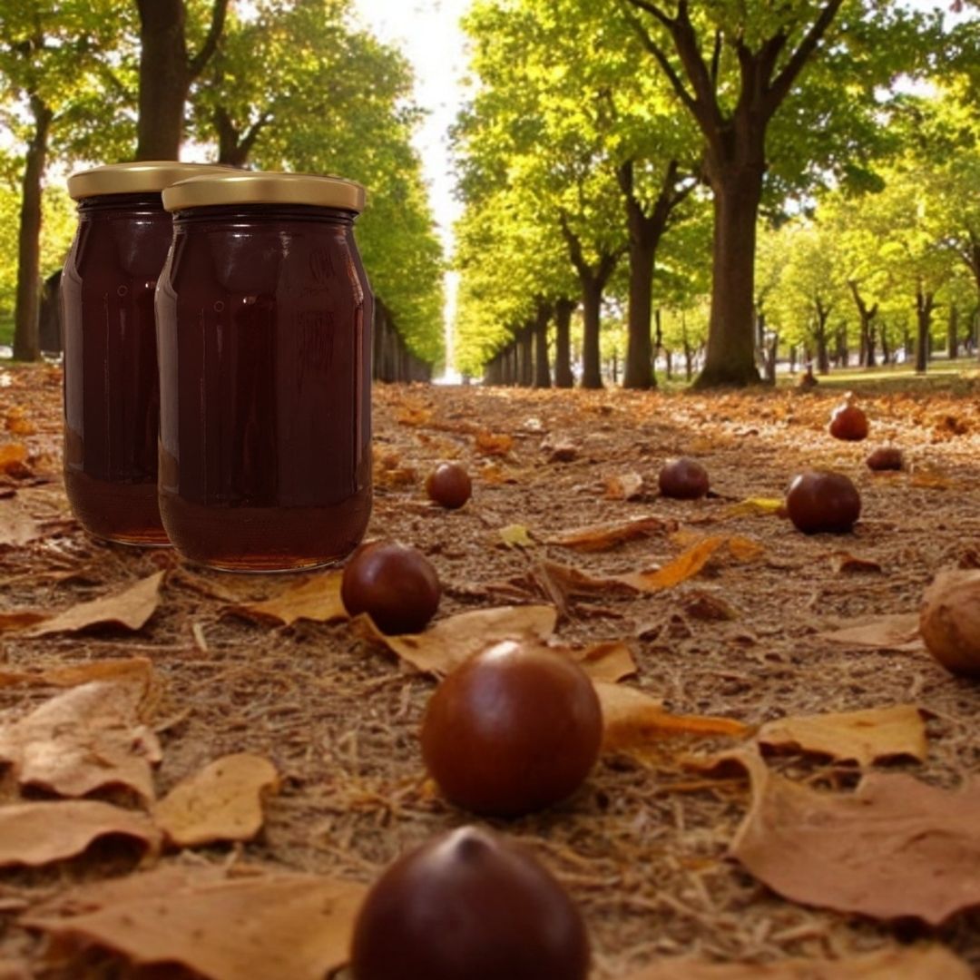 Analizli Şekersiz Hakiki Süzme Kestane Balı - (Net-1 Kg) - Dökme