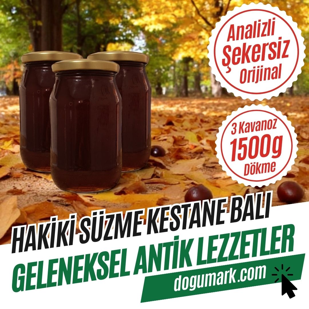 Analizli Şekersiz Hakiki Süzme Kestane Balı (Net-1,5 Kg) - Dökme