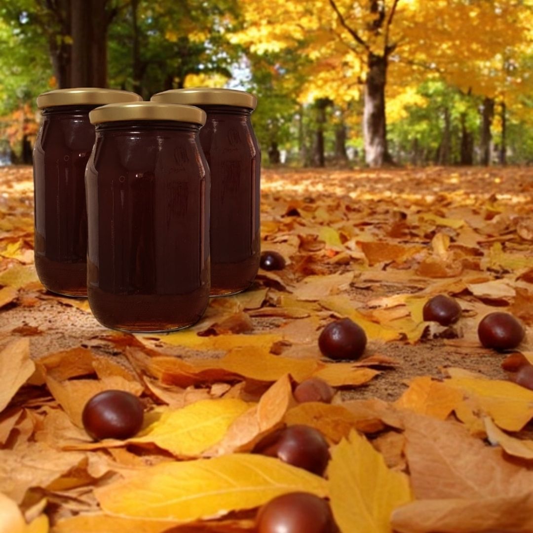 Analizli Şekersiz Hakiki Süzme Kestane Balı (Net-1,5 Kg) - Dökme