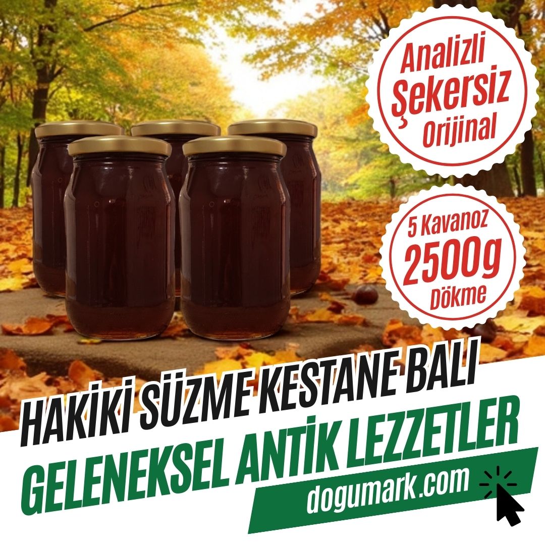 Analizli Şekersiz Hakiki Süzme Kestane Balı (Net-2,5 Kg) - Dökme