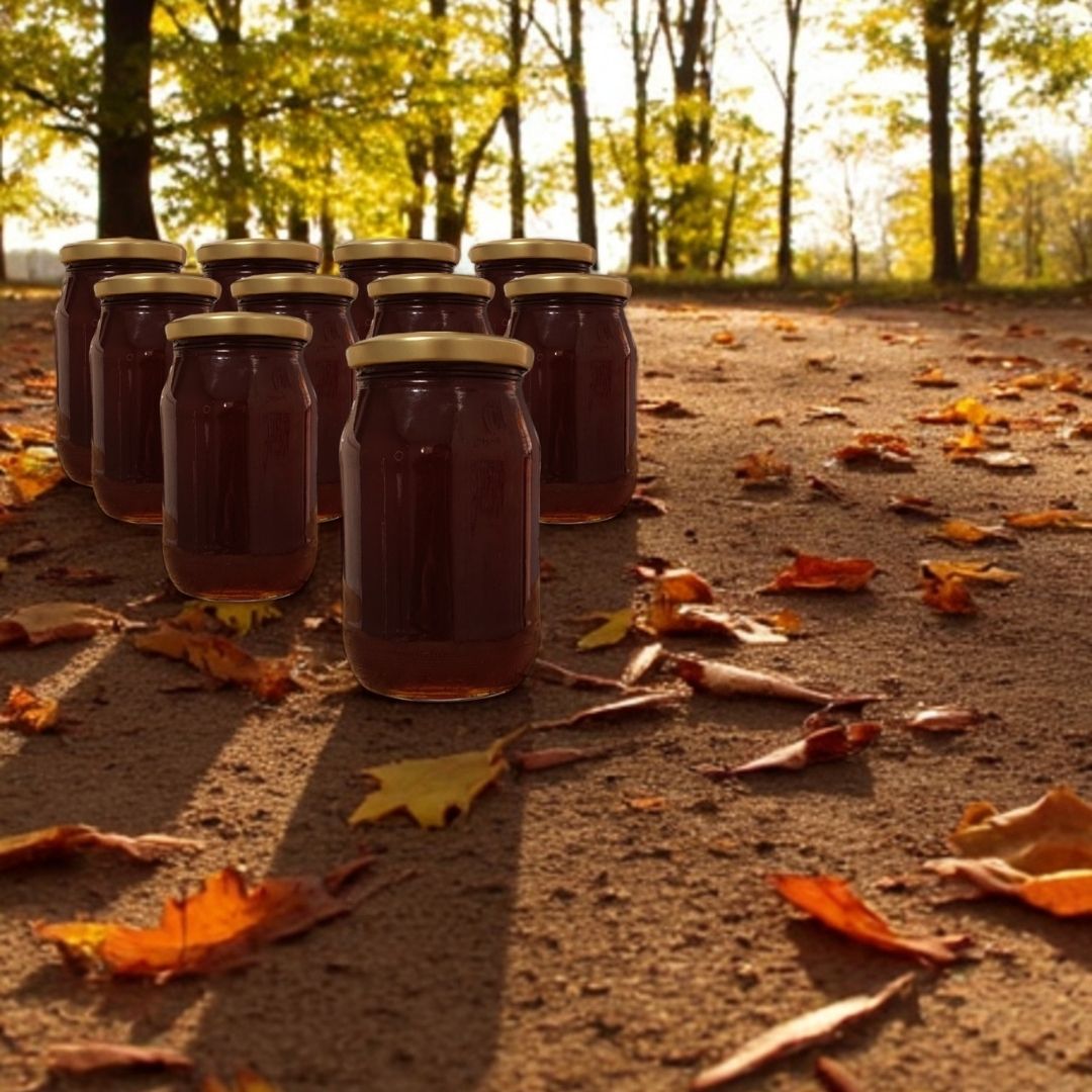 Analizli Şekersiz Hakiki Süzme Kestane Balı (Net-5 Kg) - Dökme