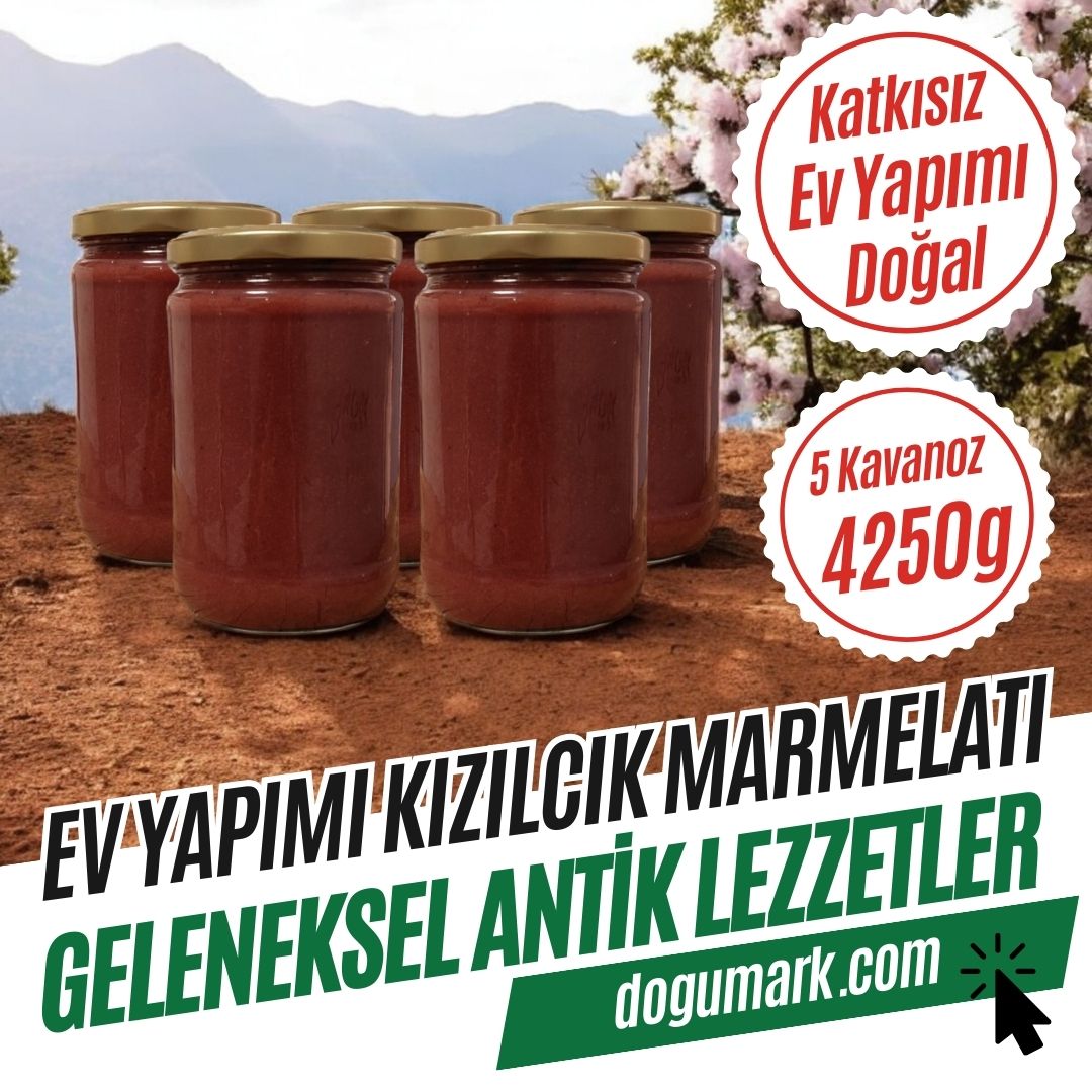 Katkısız Doğal Ev Yapımı Kızılcık Marmelatı (5 Kavanoz 4250g)