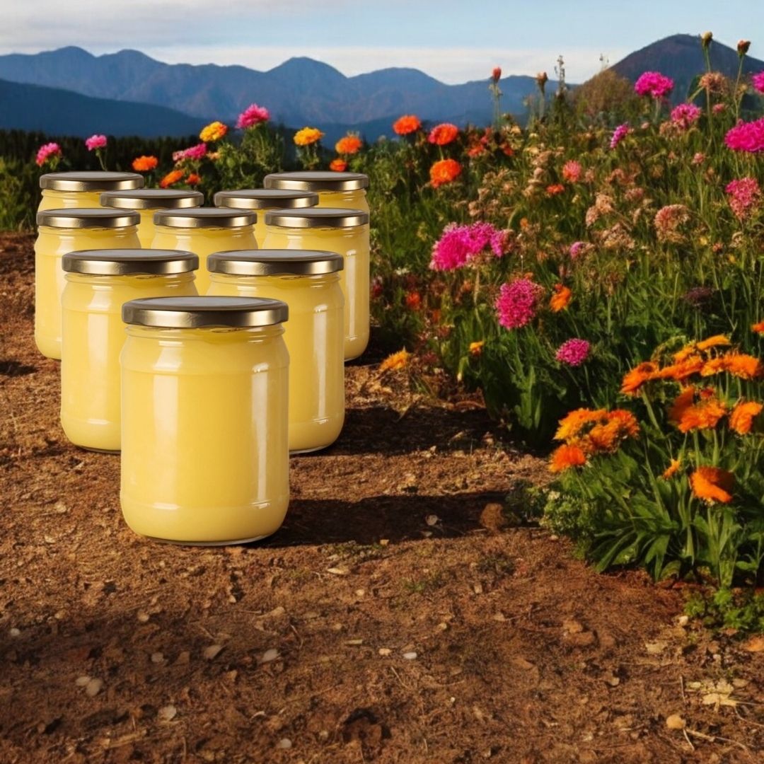 Katkısız Sade Sarı Yağ - Saf - Ghee (Net 6000g 10 Kavanoz) Dökme