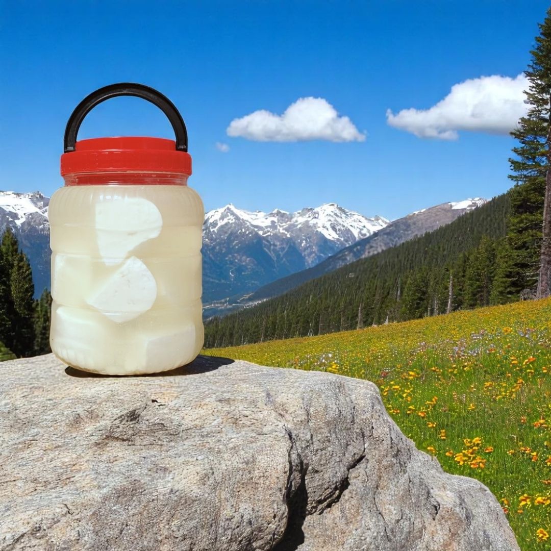 Dökme Köy Tipi Salamura Taze Beyaz Peynir - Yağlı - İnek (10 Kg)