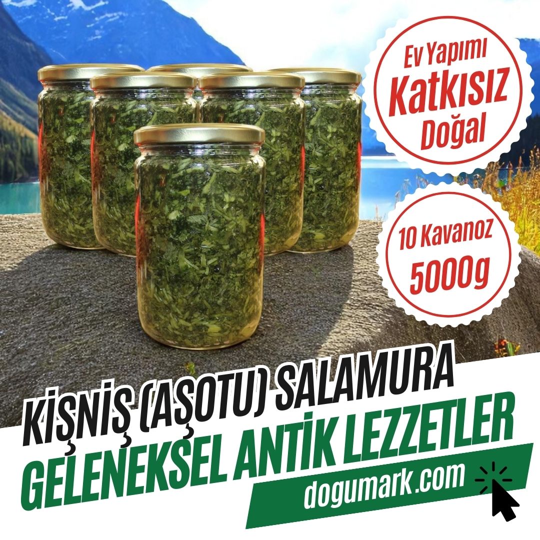 Katkısız Ev Yapımı Kişniş (Aşotu) Salamura - 10 Kavanoz (5000g)