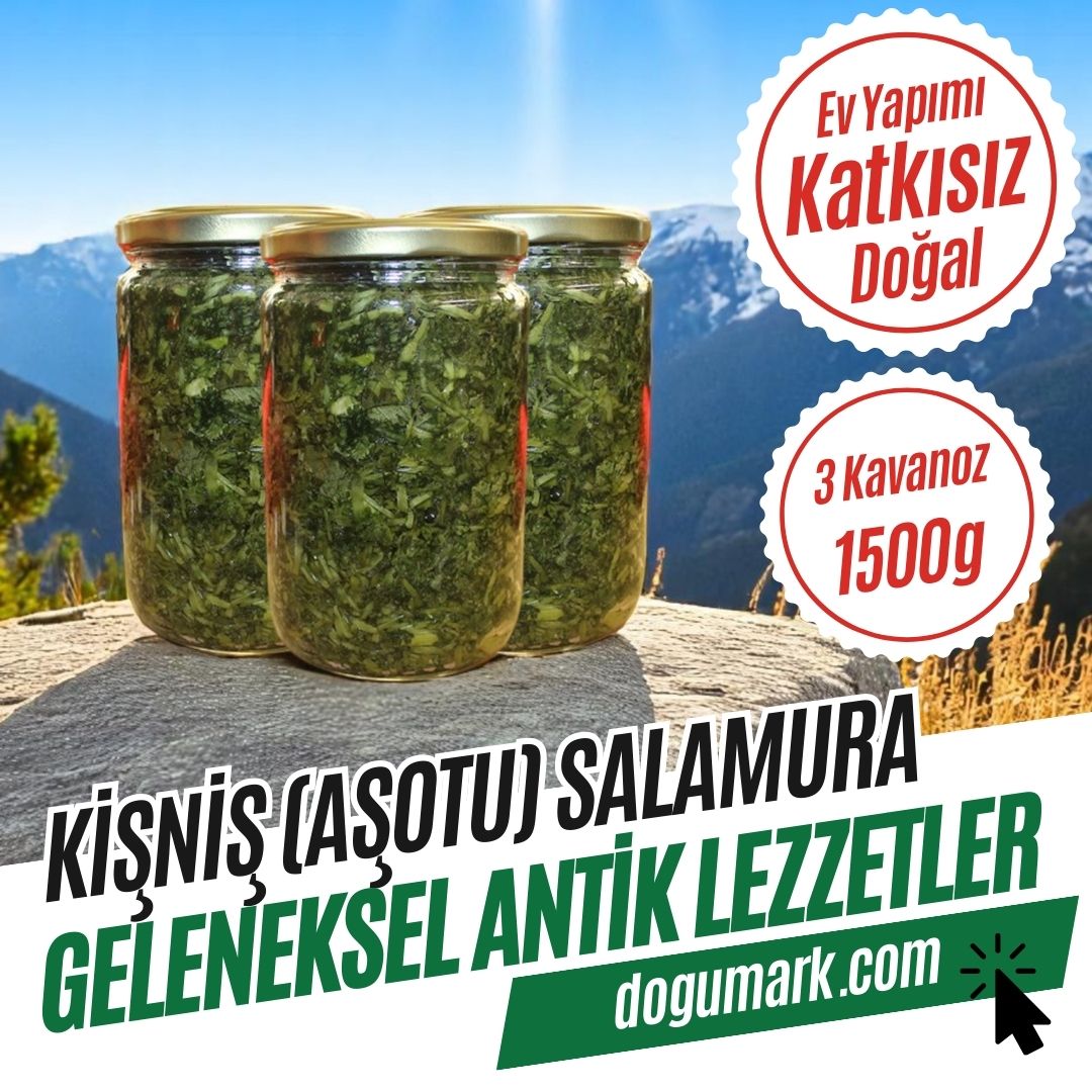 Katkısız Ev Yapımı Kişniş (Aşotu) Salamura - 3 Kavanoz (1500g)